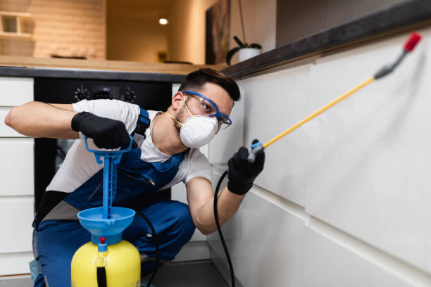Best Termite Control Services  in Napa, CA