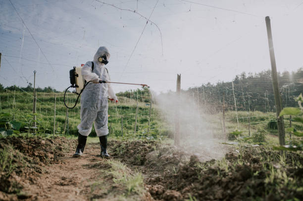 Best Mosquito Control Services  in Napa, CA