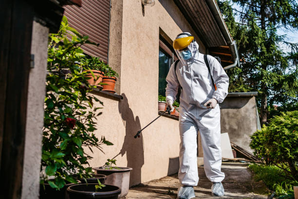 Best Pest Removal Services  in Napa, CA