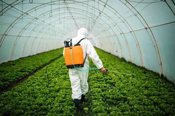 Best Pest Prevention Services  in Napa, CA