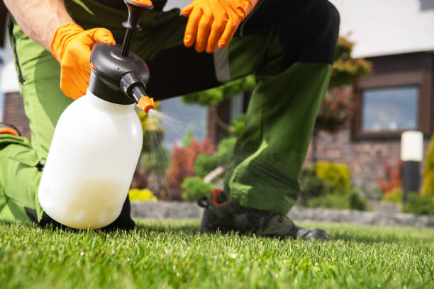 Best Wasp Removal Services  in Napa, CA