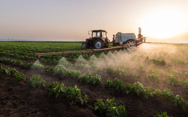 Best Pest Prevention Services  in Napa, CA
