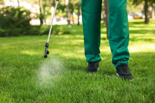 Best Cockroach Control Services  in Napa, CA