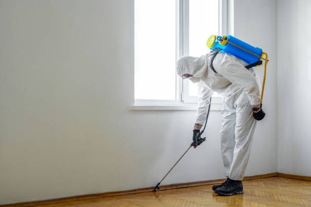 Best Pest Control Near Me  in Napa, CA
