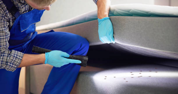 Best Exterminator Services  in Napa, CA