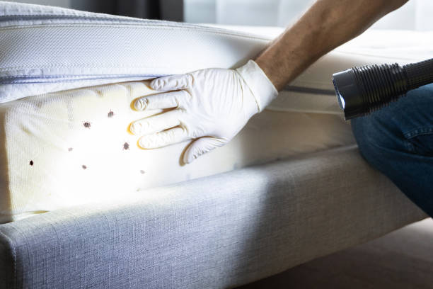Best Affordable Pest Control Services  in Napa, CA