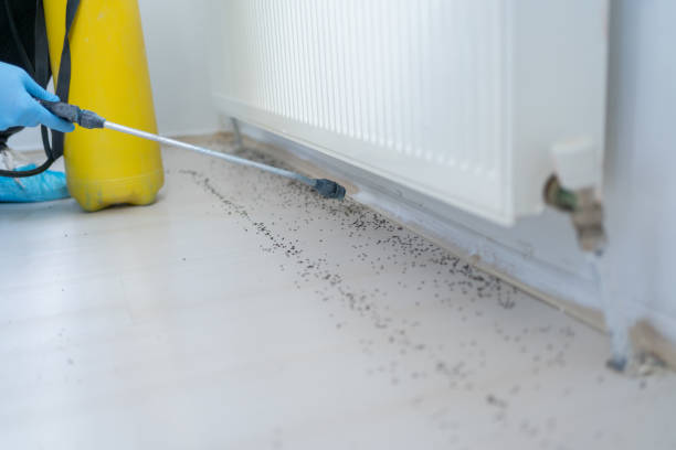 Best Exterminator Services  in Napa, CA