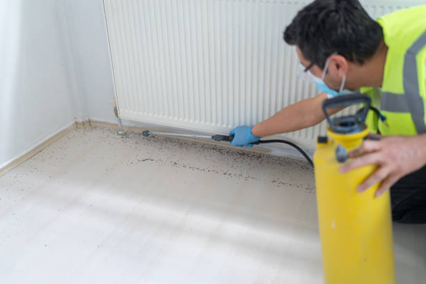 Best Best Pest Control Companies  in Napa, CA